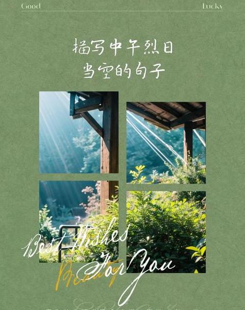 太阳耀眼成语大盘点