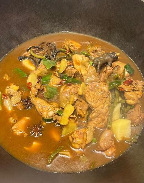 轻松学会：炖出软嫩不柴的鸡肉技巧