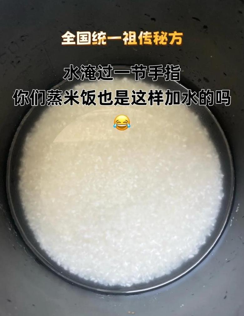 米饭加水技巧：手指量水秘籍大公开