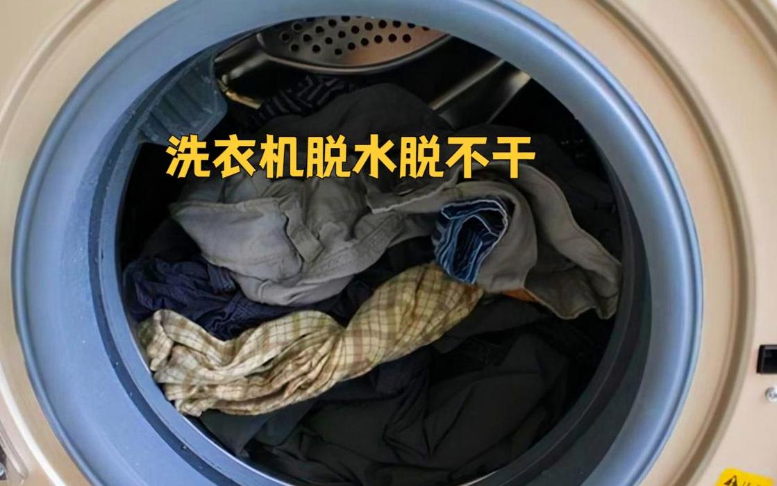 波轮洗衣机脱水不干原因解析及解决方法