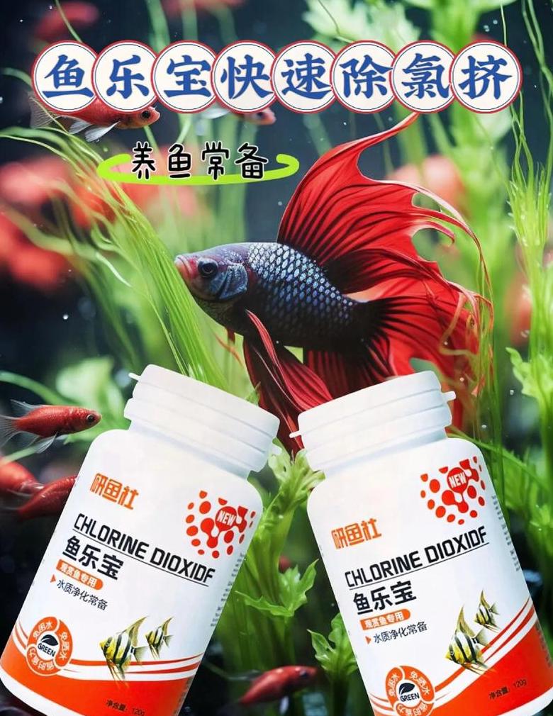 快速处理自来水养鱼技巧全解析