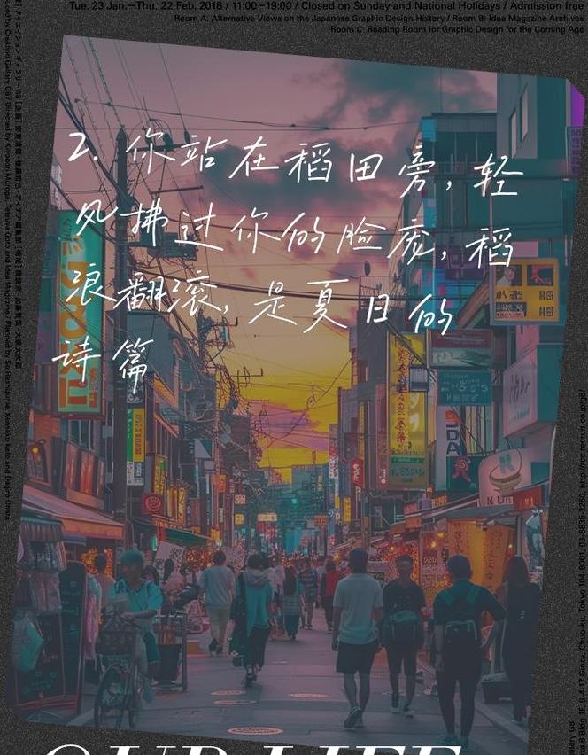 初夏稻田：诗意画卷里的四季流转