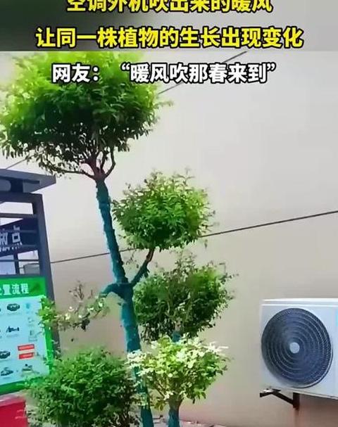冬天空调外机是冷风还是热风
