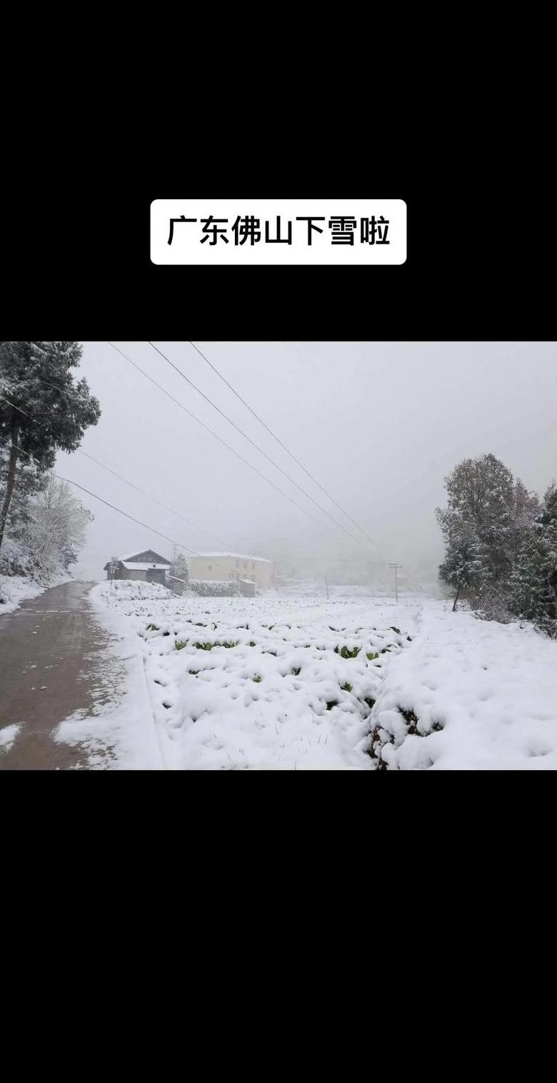 什么情况下才会下雪广东