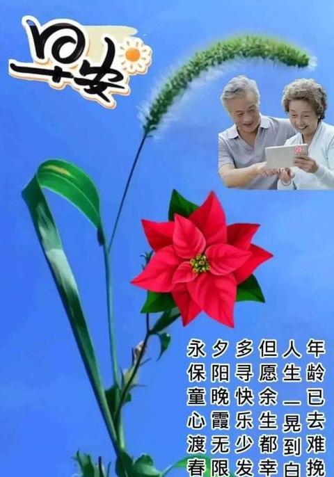 周末客户问候语精选短语