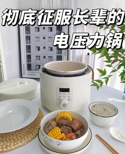 2024电压力锅品牌排行：十大热门推荐盘点