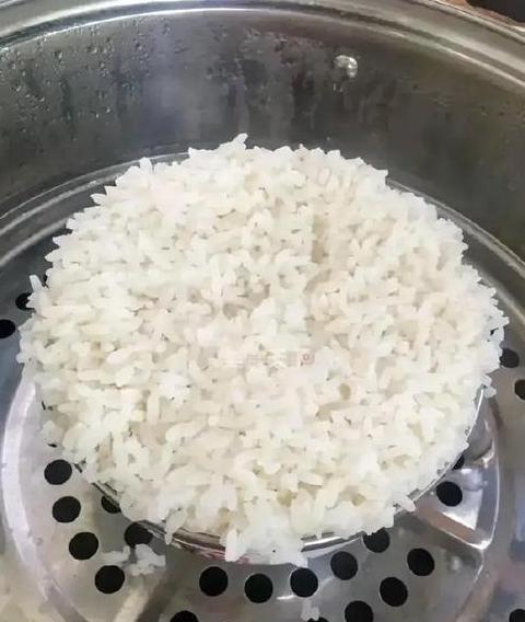 九阳电饭煲煮饭不熟？6步排查修复攻略