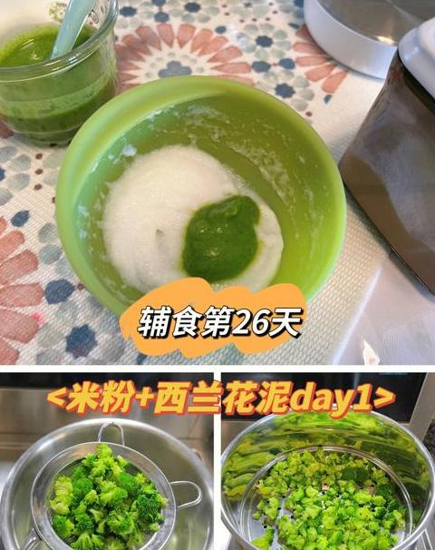 西兰花泥冷藏冷冻指南及保存技巧