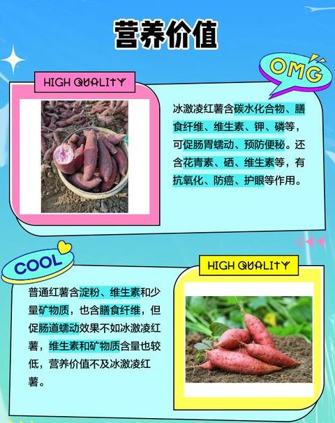 冰淇淋红薯与普通红薯热量对比及食用建议
