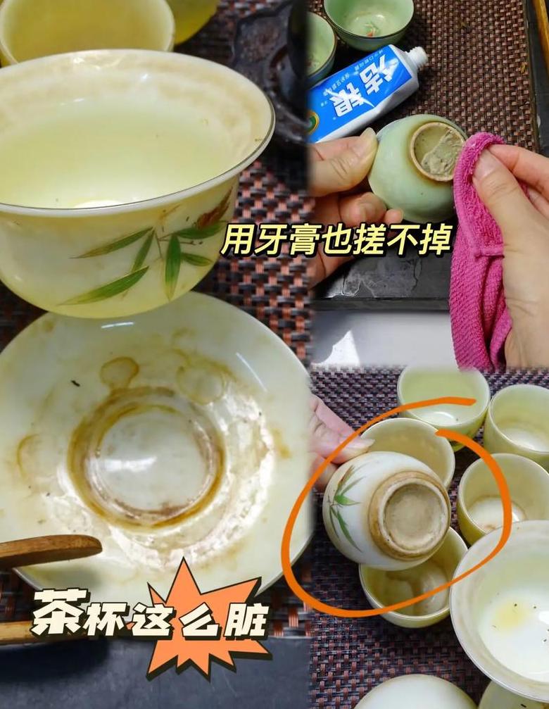 茶垢清洁与危害：夏季茶杯保养指南