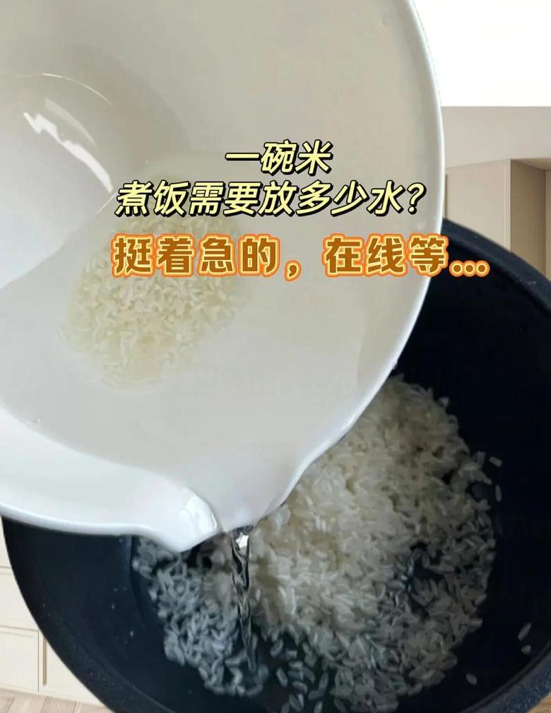 米水比例两杯米蒸米饭的适量用水量