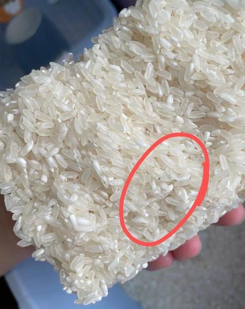 大米泡水后还能吃吗？泡多久合适？