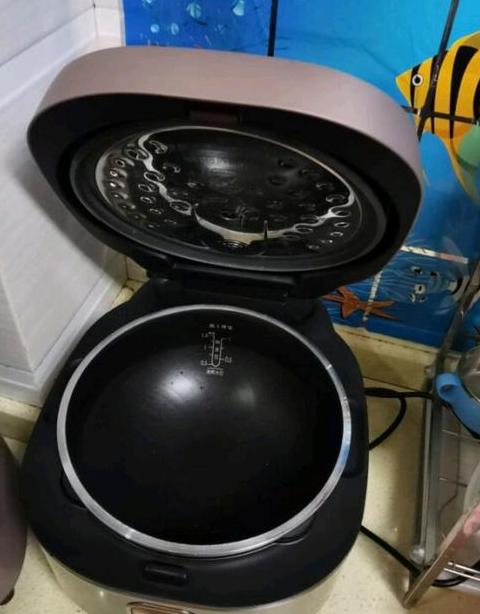苏泊尔电饭煲煮饭跳保温状态原因及解决方法