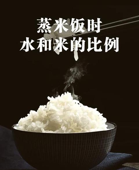 电饭锅蒸米饭攻略：选择功能与操作步骤详解