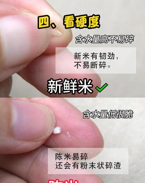 新米与陈米：外观、气味、口感大揭秘