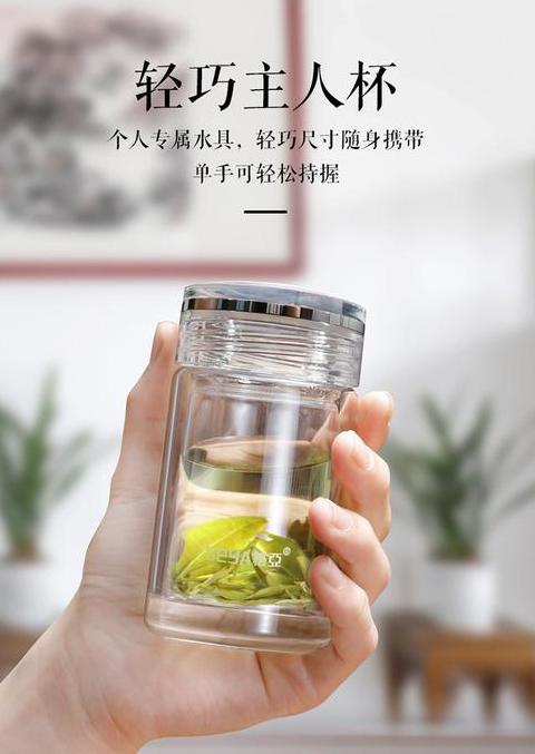 双层玻璃杯茶漏使用指南
