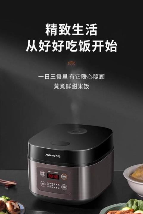 九阳F-30FZ619电饭煲：家庭健康烹饪新宠