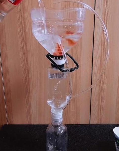 养鱼用自来水？揭秘自来水除氯的3种方法