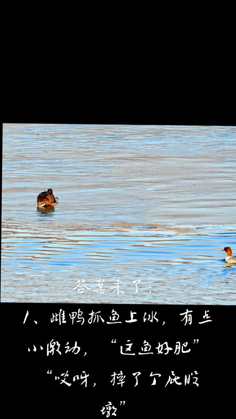 五年级童话作文精选：奇幻故事魅力无限